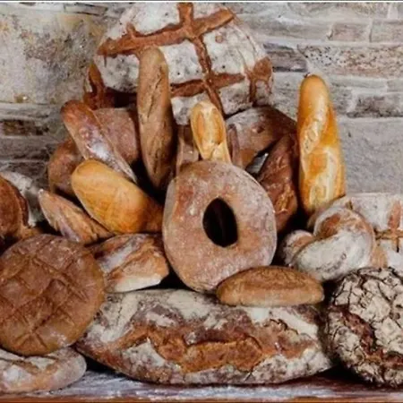 Nyaraló Real 43 Buen Camino Neda