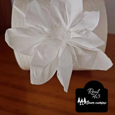 Real 43 Buen Camino Hébergement de vacances