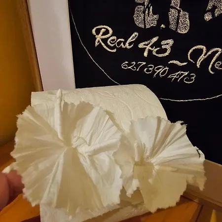 Real 43 Buen Camino * Neda