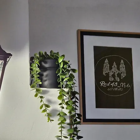 Hébergement de vacances Real 43 Buen Camino *