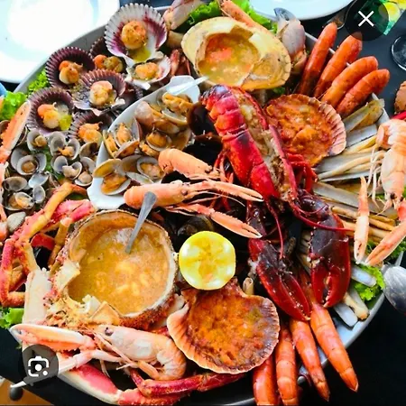 Real 43 Buen Camino Neda