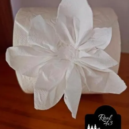 Real 43 Buen Camino Nyaraló Neda