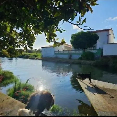 Real 43 Buen Camino Hébergement de vacances