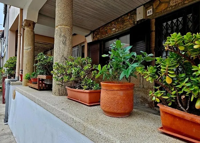 Real 43 Buen Camino 別荘 *