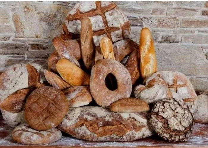 別荘 Real 43 Buen Camino Neda