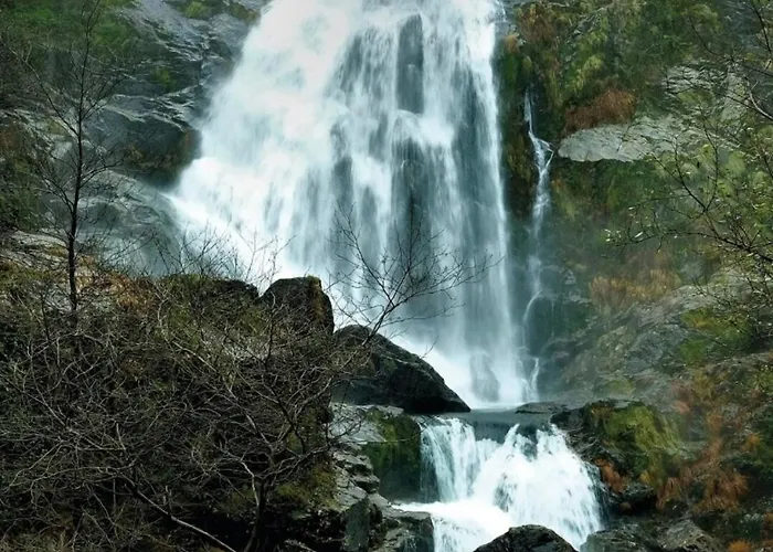 Real 43 Buen Camino 別荘 Neda