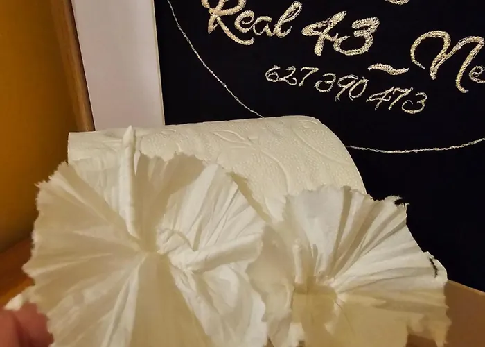 Real 43 Buen Camino * Neda