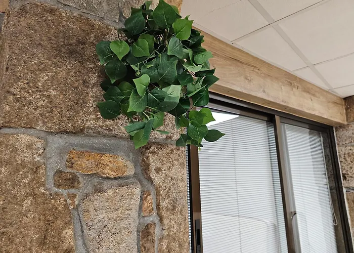 別荘 Real 43 Buen Camino *